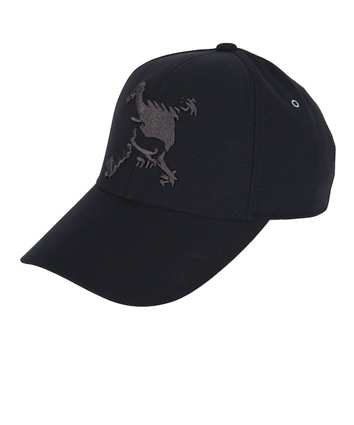 26SS 오클리 볼캡 FOS902384PITCH BLACK DOM