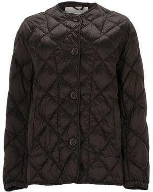 26SS 막스마라 패딩 19481074 023 BROWN DOM