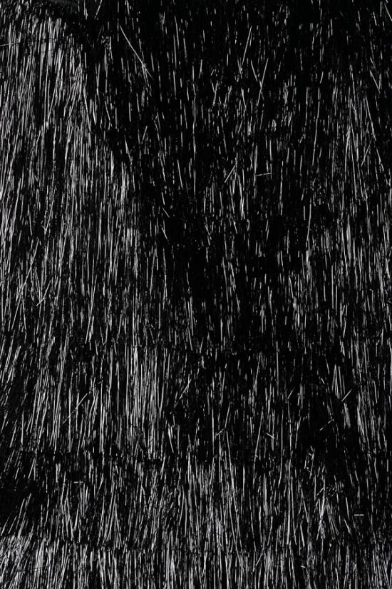  스포트막스 자켓 알카노 폴리에스터 조끼 - 블랙 - SPORTMAX