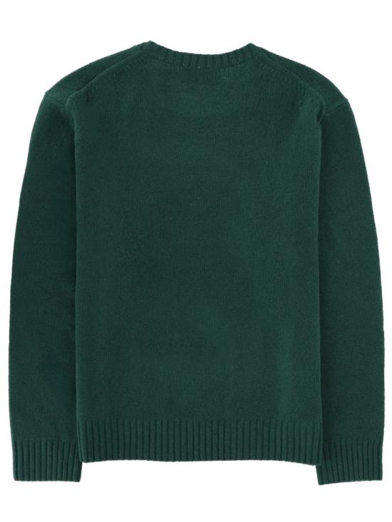 26SS 폴로 랄프로렌 스웨터 710978308 001FA25VNTGPINEHOCHARLESBEAR GREEN - POLO RALPH LAUREN
