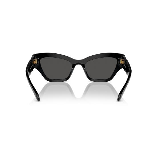 26SS 스와로브스키 선글라스 0SK6021 100187 - SWAROVSKI