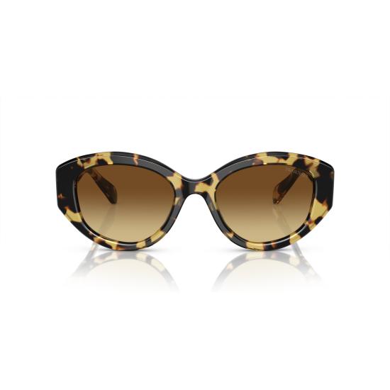 26SS 스와로브스키 선글라스 0SK6005 100913 - SWAROVSKI