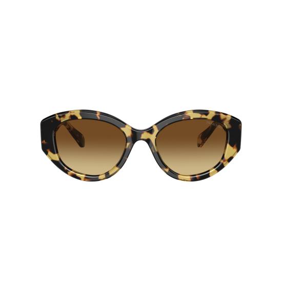 26SS 스와로브스키 선글라스 0SK6005 100913 - SWAROVSKI