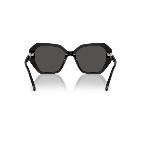 26SS 스와로브스키 선글라스 0SK6017 100187 - SWAROVSKI