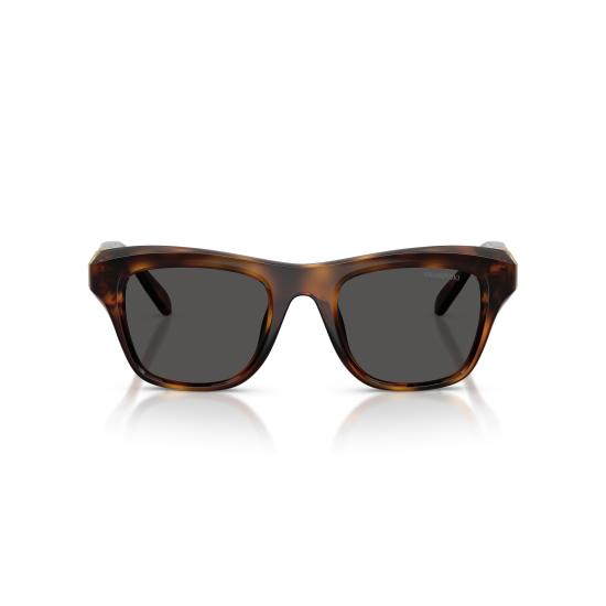 26SS 스와로브스키 선글라스 0SK6056U 100287