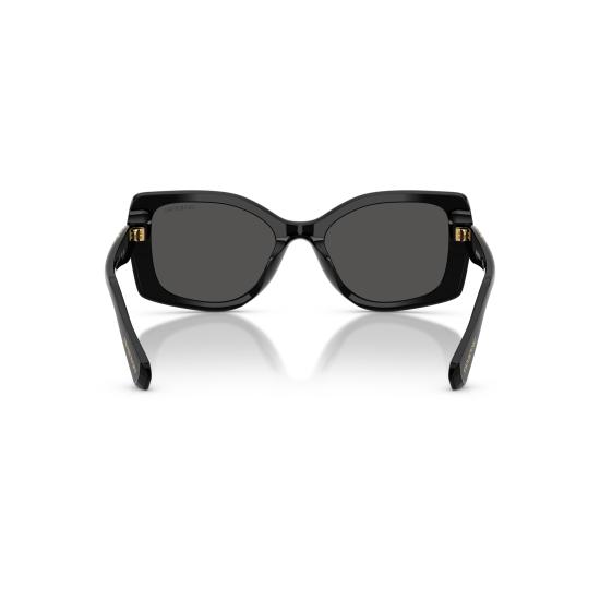 26SS 스와로브스키 선글라스 0SK6058U 100187 - SWAROVSKI