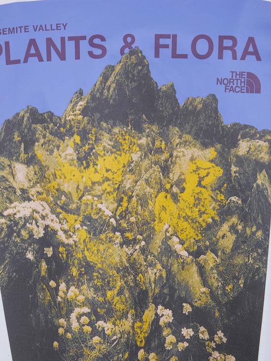 26SS 노스페이스 반팔 티셔츠 NF0A8GB3 FN41 WHITE - NORTH FACE