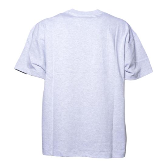 26SS 디키즈 반팔 티셔츠 DK0A87QE A281LIGHTGRAY - DICKIES