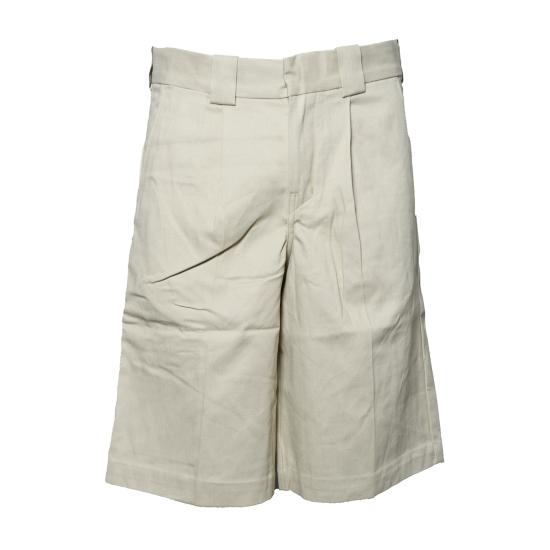 26SS 디키즈 숏팬츠 DK0A88GJ L441EUCALYPTUS