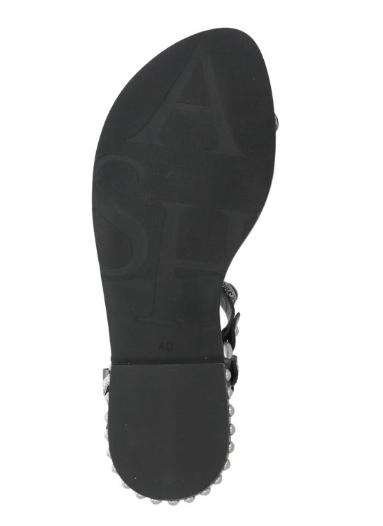 26SS 아쉬 샌들 PODIUM SOFT MUSTANGBLACK Black - ASH