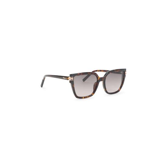 26FW 쇼파드 선글라스 SCH432S 0743 HAVANA - CHOPARD