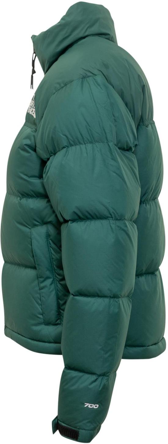 25FW 노스페이스 1996 레트로 눕시 자켓 NF0A3XEO1KI1 GREEN - NORTH FACE