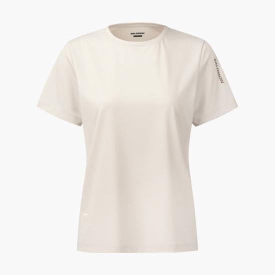 26SS 살로몬 반팔 티셔츠 S261002RTS32 GBE DOM