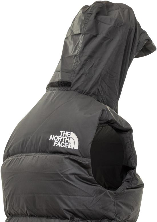 25FW 노스페이스 1996 레트로 눕시 베스트 NF0A3XEPGOF1 BLACK - NORTH FACE