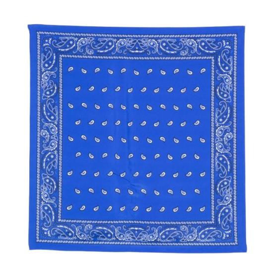26FW 파로쉬 머플러/스카프 D001500SOY 883 FANTASIA BLUETTE