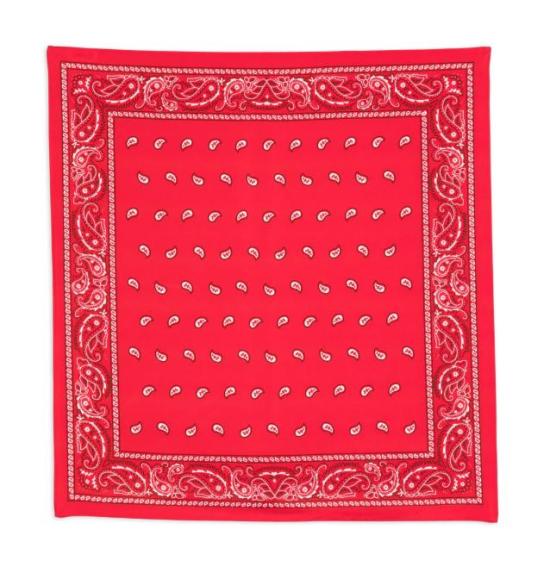 26SS 파로쉬 머플러/스카프 D001500SOY 809 FANTASIA ROSSA