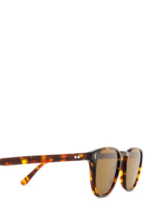 26FW 어게이즈 선글라스 BELLTOWN SUN 002 TORTOISE BROWN - AGAZE