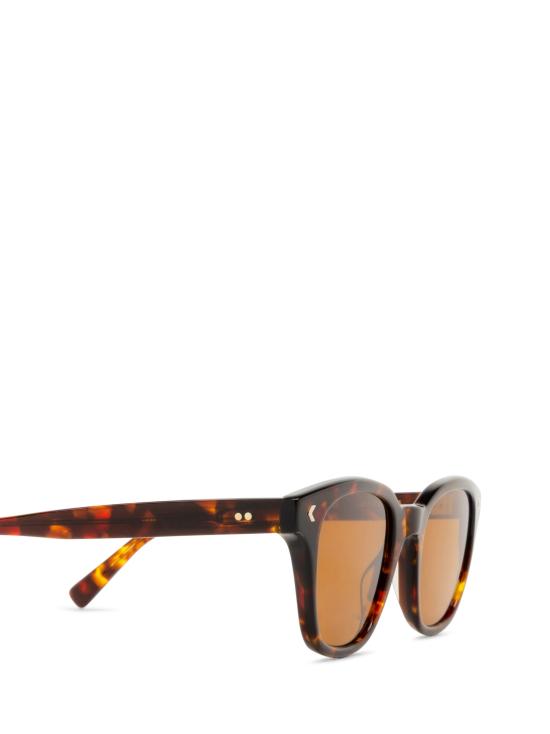 26FW 어게이즈 선글라스 KERNS SUN 002 TORTOISE MAPLE BROWN - AGAZE