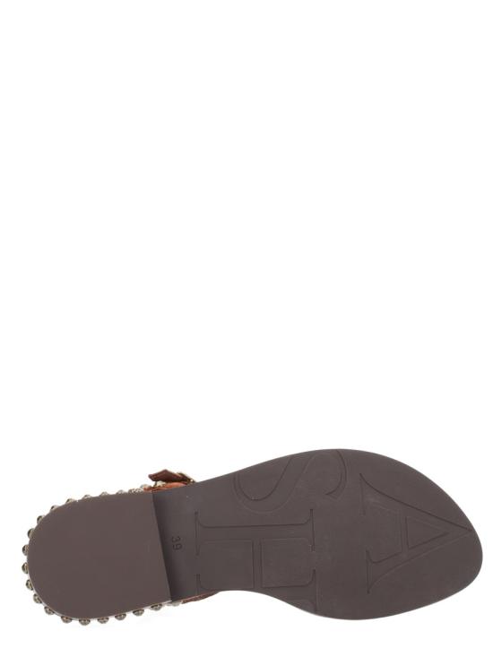 26SS 아쉬 샌들 PLAY06 TAJINE BROWN - ASH