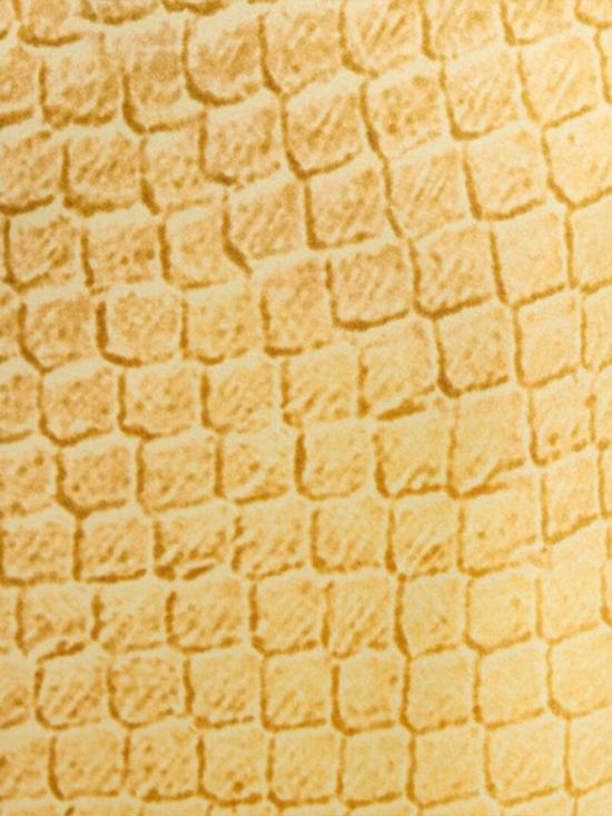 26SS 로베르토 카발리 팔라초 팬츠 WWT201RYS31 D0530 Golden - ROBERTO CAVALLI