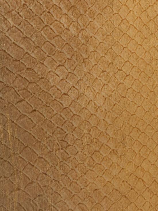 26SS 로베르토 카발리 머플러/스카프 WWI003CKS31 D1647 Gold - ROBERTO CAVALLI