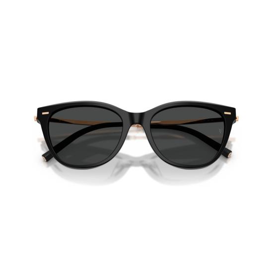 26SS 올리버피플스 선글라스 0Ov5597su 로즈골드 액센트가 있는 유광 블랙 캣아이 - OLIVER PEOPLES