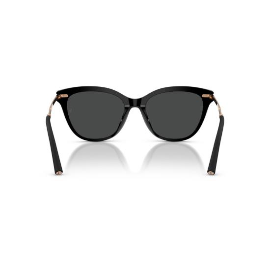 26SS 올리버피플스 선글라스 0Ov5597su 로즈골드 액센트가 있는 유광 블랙 캣아이 - OLIVER PEOPLES