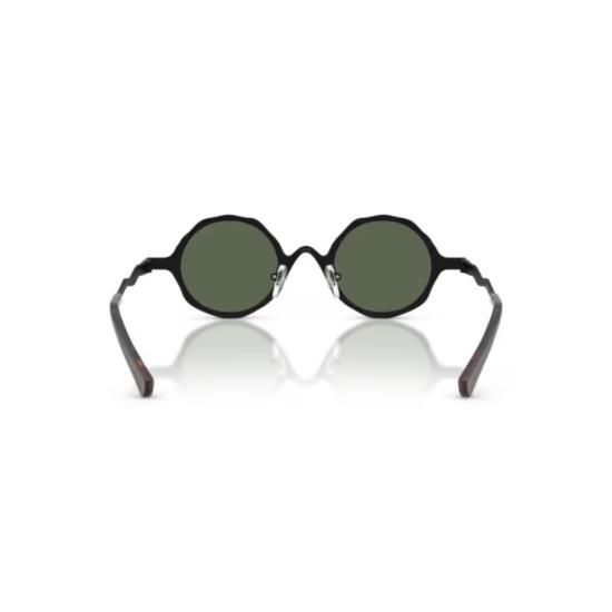 26SS 엠포리오 아르마니 선글라스 0Ea2166 원형 금속 프레임  (텍스처 처리된 템플 포함) - EMPORIO ARMANI