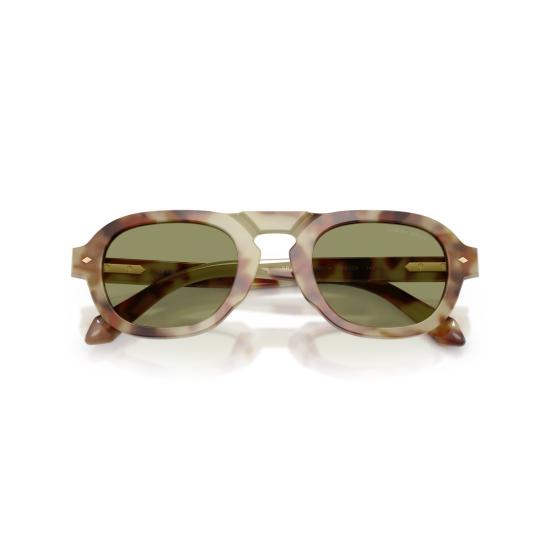  조르지오 아르마니 선글라스 0Ar8244 기하학적 호피무늬  (직사각형 렌즈)