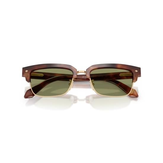  조르지오 아르마니 선글라스 0Ar8243 호피무늬 아세테이트  (골드톤 프레임) - GIORGIO ARMANI