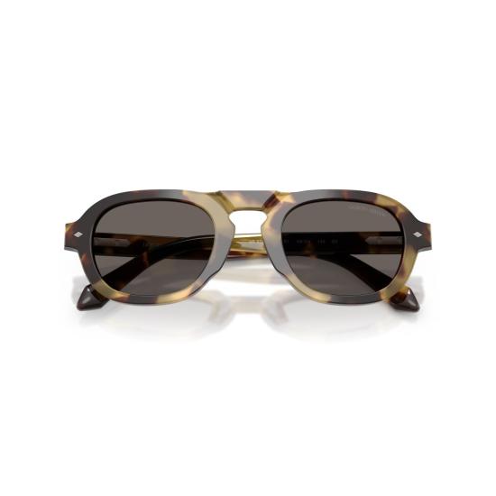  조르지오 아르마니 선글라스 0Ar8244 볼드 호피 무늬 아세테이트  (어두운 렌즈) - GIORGIO ARMANI