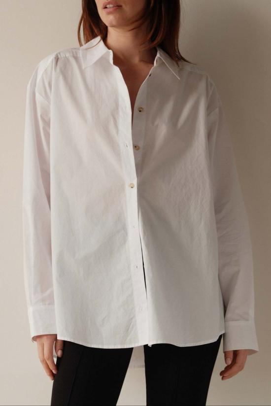  도니 셔츠 . 팝 파우더 셔츠