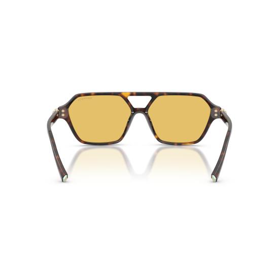 26SS 티파니앤코 선글라스 0TF4264U 801585 - TIFFANY & CO