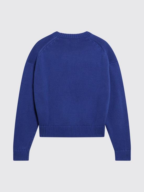 26SS 폴로 랄프로렌 스웨터 211A96234 001 Royal Blue - POLO RALPH LAUREN