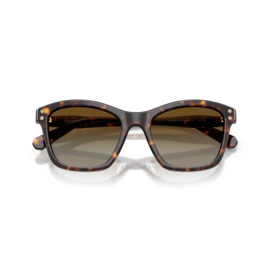 26SS 스와로브스키 선글라스 0Sk6063 클래식 호피무늬 아세테이트  (크리스탈 장식) - SWAROVSKI