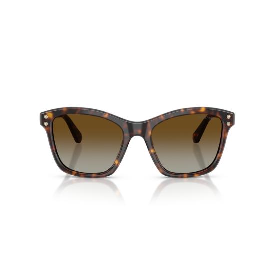 26SS 스와로브스키 선글라스 0Sk6063 클래식 호피무늬 아세테이트  (크리스탈 장식) - SWAROVSKI