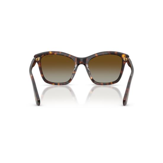 26SS 스와로브스키 선글라스 0Sk6063 클래식 호피무늬 아세테이트  (크리스탈 장식) - SWAROVSKI
