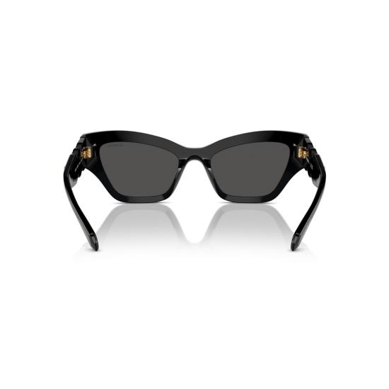 26SS 스와로브스키 선글라스 0Sk6021 크리스탈 장식 캣아이 - SWAROVSKI