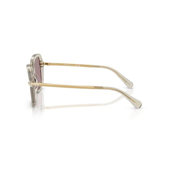 26SS 스와로브스키 선글라스 0Sk6040 스퀘어 아세테이트  (반투명 베이지 프레임) - SWAROVSKI