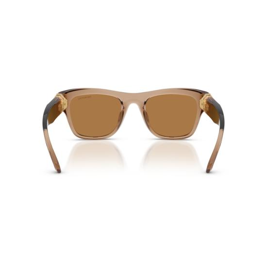 26SS 스와로브스키 선글라스 0Sk6056u 반투명 브라운 스퀘어  (골드톤 액센트 포함) - SWAROVSKI