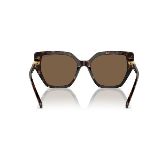 26SS 스와로브스키 선글라스 0Sk6016 오버사이즈 캣아이  (호피 무늬 아세테이트 소재) - SWAROVSKI