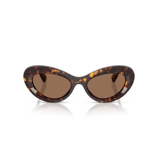 26SS 스와로브스키 선글라스 0Sk6061u 캣아이  (호피 무늬 아세테이트 프레임) - SWAROVSKI