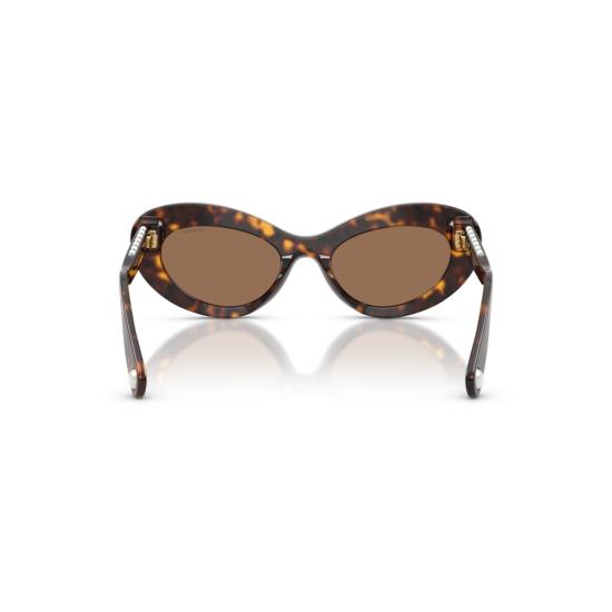 26SS 스와로브스키 선글라스 0Sk6061u 캣아이  (호피 무늬 아세테이트 프레임) - SWAROVSKI
