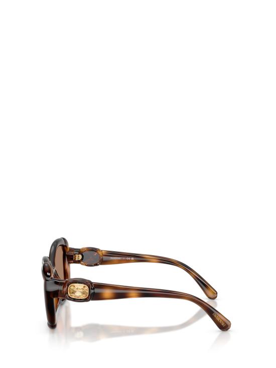 26FW 스와로브스키 선글라스 SK6051U 100273 HAVANA - SWAROVSKI