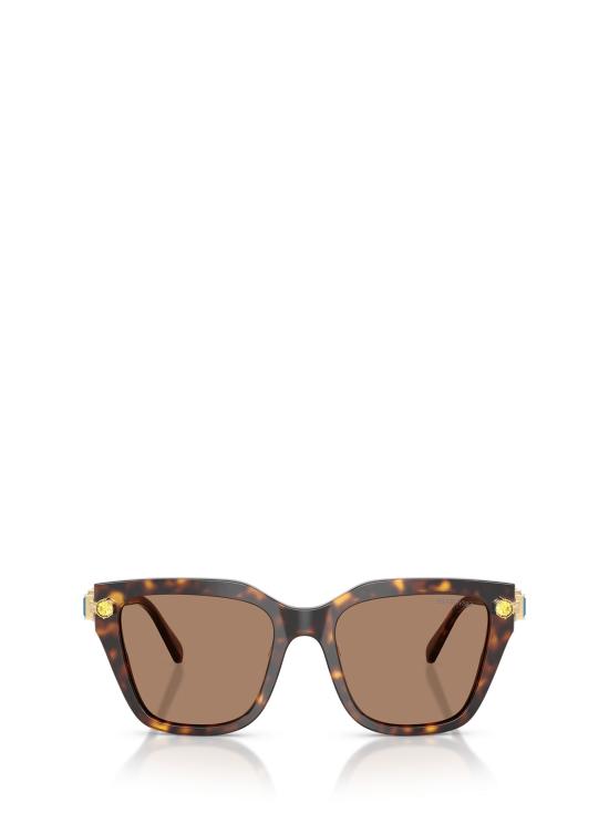 26FW 스와로브스키 선글라스 SK6041 100273 HAVANA