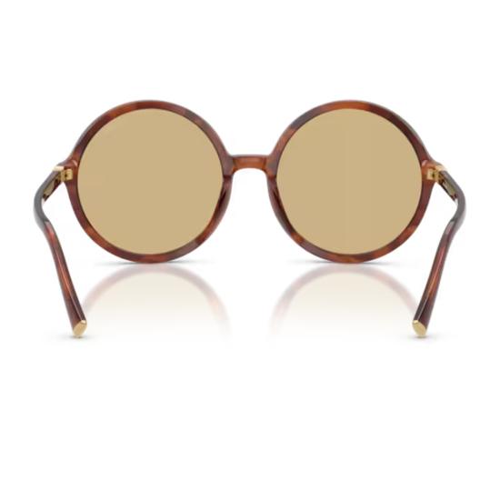  미우미우 안경 Miu Miu 0 Mu B02 S Regard 선글라스 Havana - MIU MIU