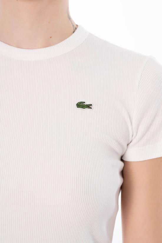 26SS 라코스테 반팔 티셔츠 TF5538 70V White - LACOSTE