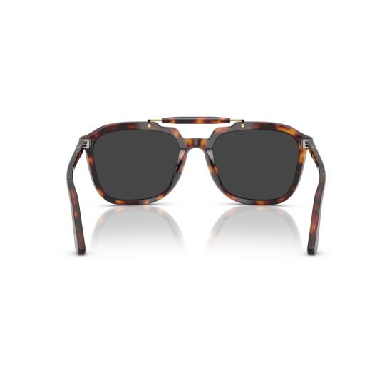 26SS 페르솔 선글라스 0Po0203s 볼드한 호피무늬  (골드톤 액센트) - PERSOL