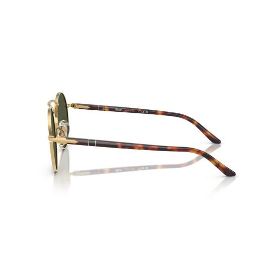 26SS 페르솔 선글라스 0Po1019s 원형 프레임  (호피무늬 템플) - PERSOL