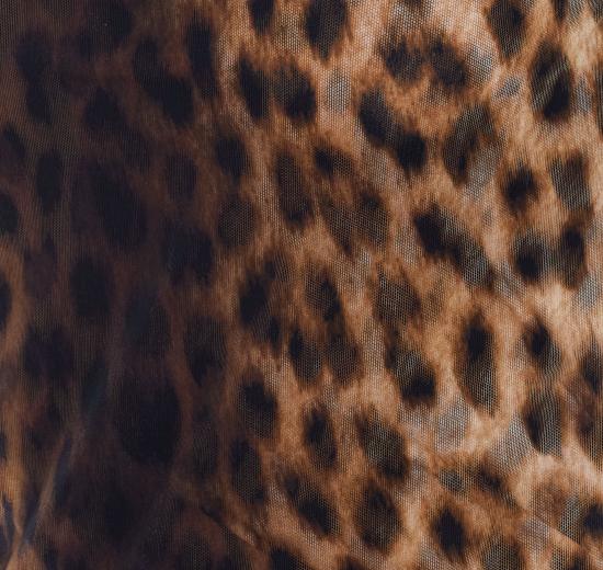 26SS 스포트막스 긴팔 티셔츠 2612941072600 SPXZEBU 001 Brown - SPORTMAX